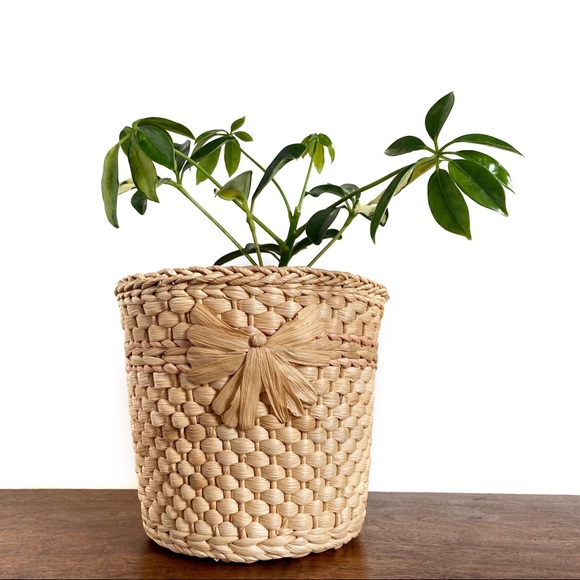 Vintage Woven Wicker Boho Basket Plant Holder